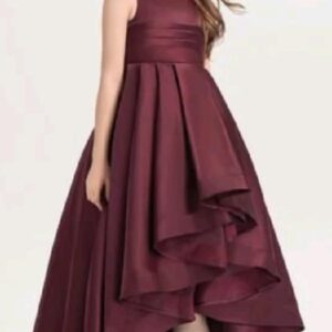 Ruffle Dress